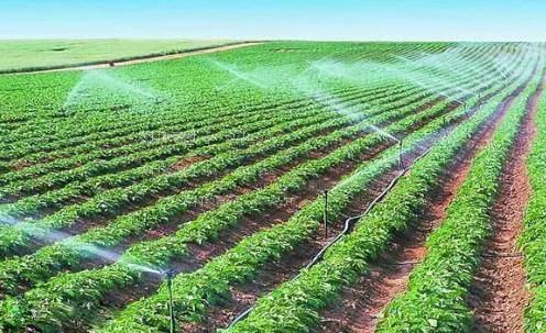 日本插肉棒视频农田高 效节水灌溉